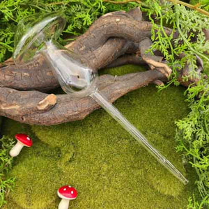 Mushroom Glass Watering Vessel 