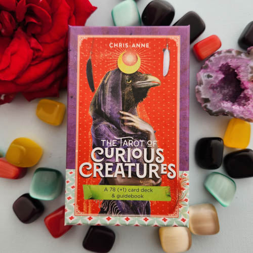 The Tarot of Curious Creatures END OF LINE OPEN DECK (78+1 cards and guide book)