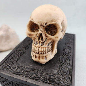 Skull Celtic Trinket Box 