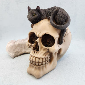 Skull With Black Cat