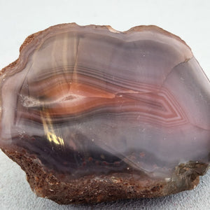 Red Agate Partially Polished Free Form