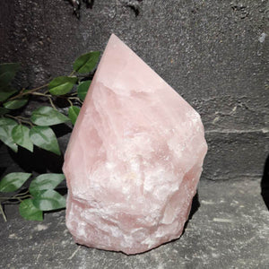 Rose Quartz Partially Polished Point