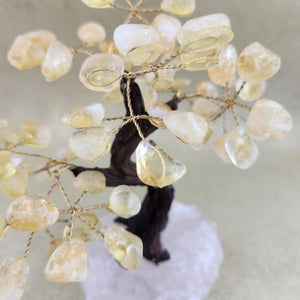 Citrine Tree on Rose Quartz Rough Rock Base