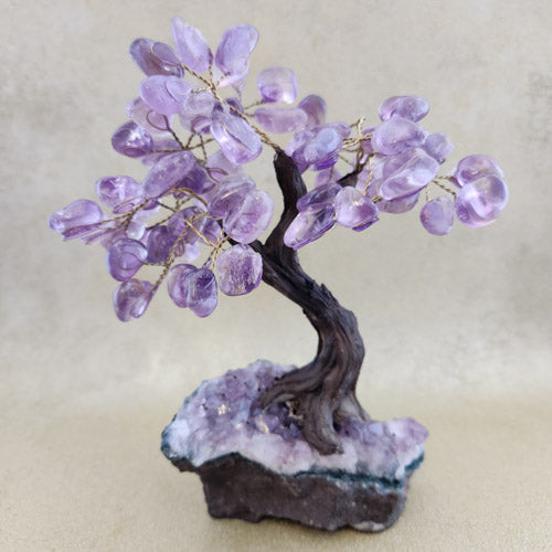 Amethyst Tree on Amethyst Cluster (assorted. approx. 17-19x13-15cm)