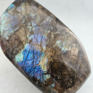 Labradorite Polished Free Form