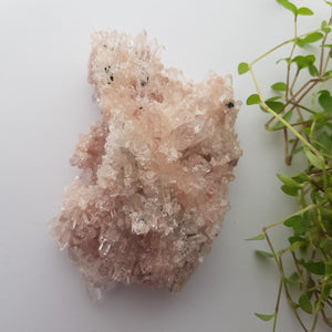 Sacred Rose Pink Lithium Quartz Cluster