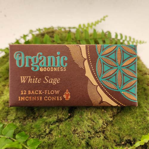 White Sage Backflow Incense Cones (Organic Goodness. Pack of 12)