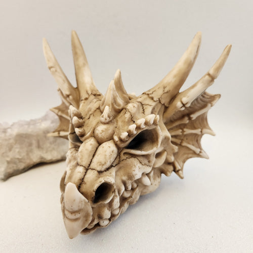 Dragon Skull Money Box (approx. 16x18x13.5cm)