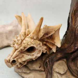 Dragon Skull With Tree Trunk Candle Holder