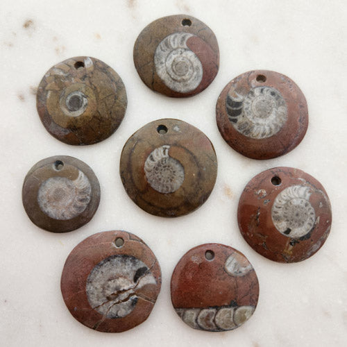 Ammonite Pendant (assorted)