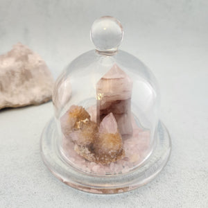 Crystal/Fairy Garden Dome Set