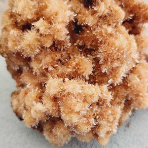 Creedite Cluster from Mexico