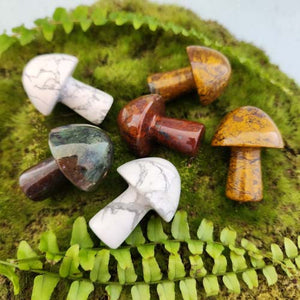 Crystal Mushroom (assorted crystals. great for your crystal/fairy garden. approx. 4x3cm)