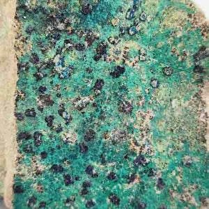 Cornetite Rosettes with Chrysocolla on Matrix