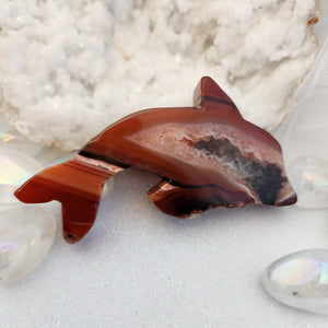 Red Agate Dolphin