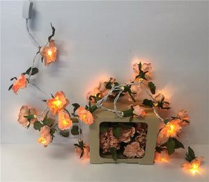 Apricot Flower Fairy Lights. (approx. 3m)