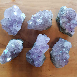 Small Amethyst clusters with defined purple points and gentle sparkle.