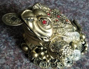 Gold Finish Feng Shui Frog (approx. 12x9cm)