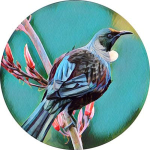 Aotearoa New Zealand Birds Glass Coasters (set of 6)