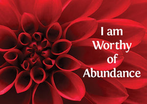 Abundance is My Birthright Affirmation Shower Kit