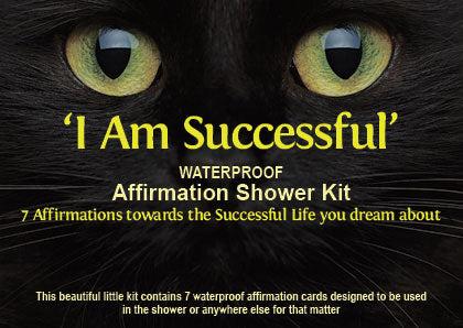 I Am Successful Affirmation Shower Kit