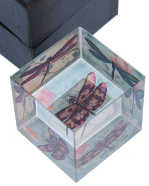 Dragonfly Cube Paperweight (approx. 5.8x5.8x5.8cm)